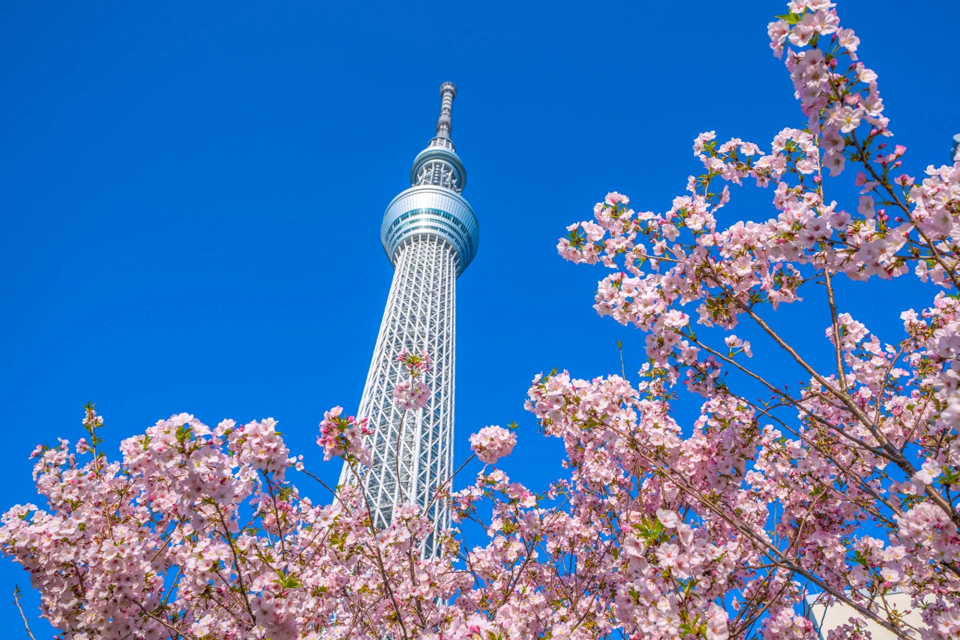 株式会社敬愛コンサルティング